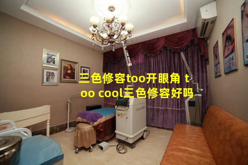 三色修容too开眼角 too cool三色修容好吗